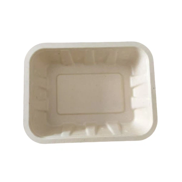 Supermarket Fresh Meat Frozen Chicken Steak Tray