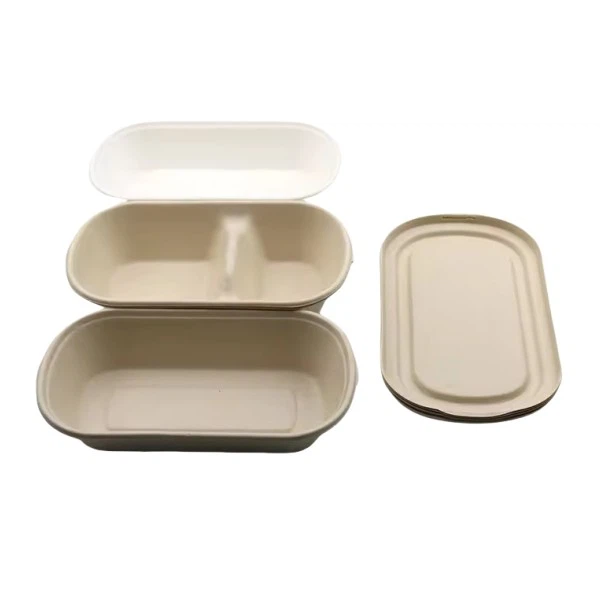 Biodegradable Disposable Lunch Box Made From Bagasse Sugarcane suppliers
